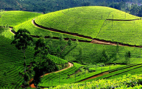 KERALA PARADISE PACKAGE