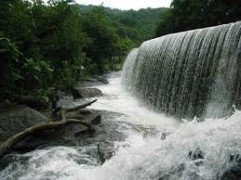 ATHIRAPPILY - VAZHACHAL - CHARAPPA- THUMBOORMUZHI DAM [ONEDAY PACKAGE NO:4]